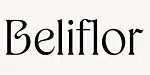 logo packshot paris photo produit mode beliflor